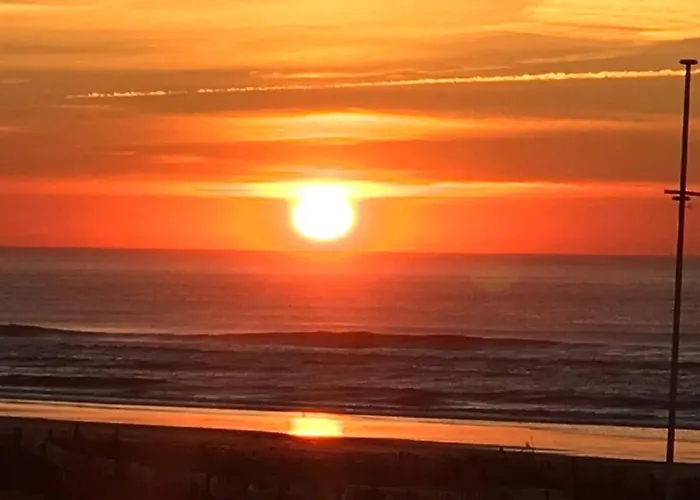 Ma Sous Les Arbres Apartamento