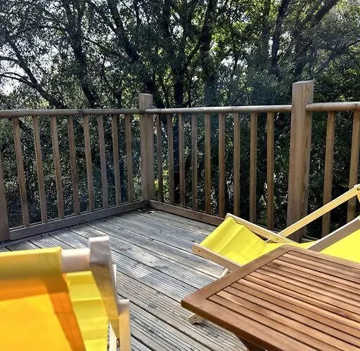 Ma Sous Les Arbres *