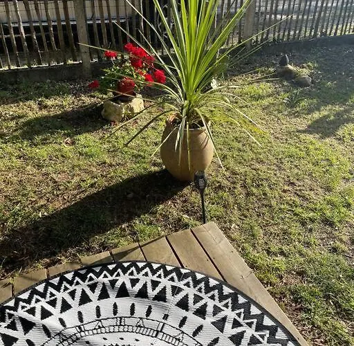 Ma Sous Les Arbres Soulac-sur-Mer