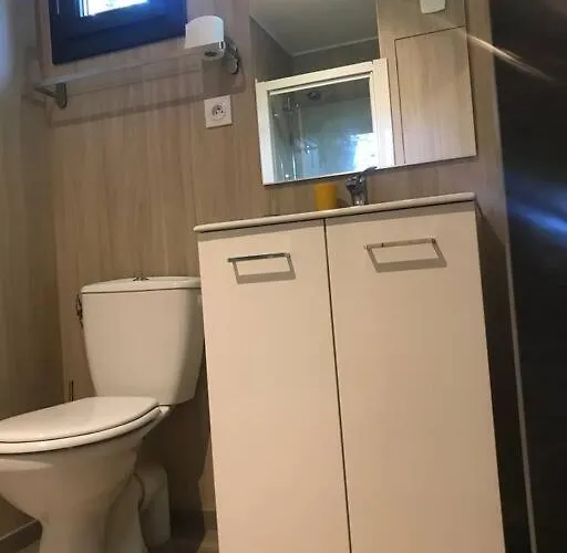 Ma Sous Les Arbres *