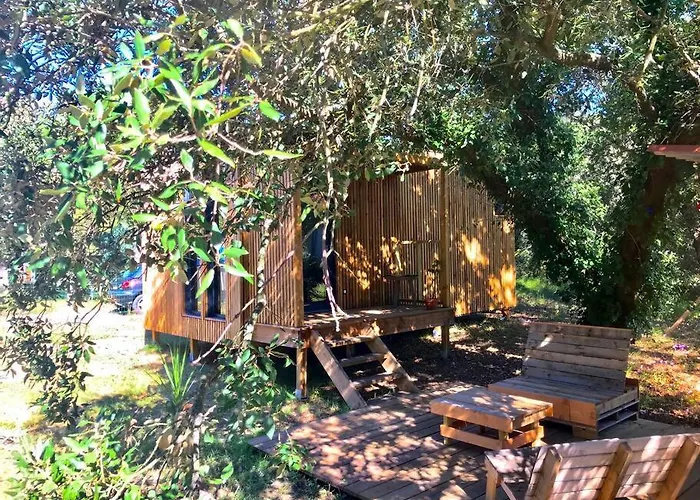 Apartamento Ma Sous Les Arbres *