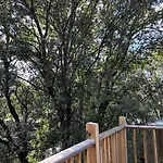 Ma Sous Les Arbres *
