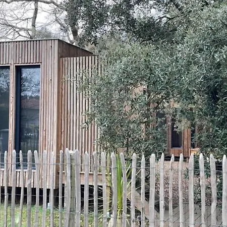 Ma Sous Les Arbres Lejlighed Soulac-sur-Mer