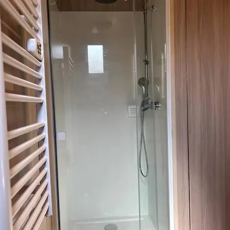 Ma Sous Les Arbres *