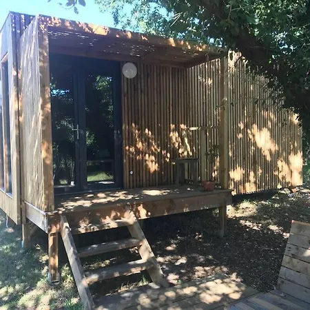 Ma Sous Les Arbres *