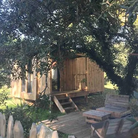 Апартаменты Ma Sous Les Arbres *